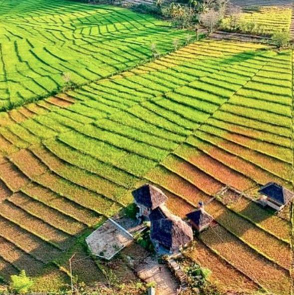 Tado Homestay Limbung Εξωτερικό φωτογραφία